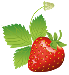Illustration Erdbeere mit Blatt, Vektorgrafik